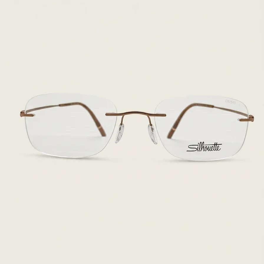 Frame with case Silhouette The Refined Cool Brown 5593 6040 54-21-150